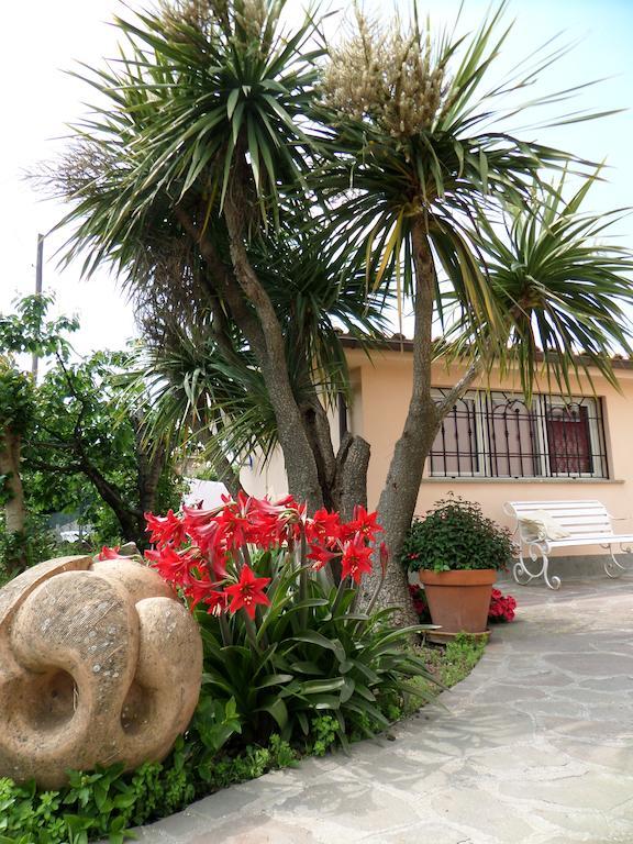 B&B Villino Lory Marino Camera foto